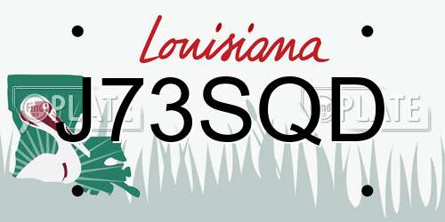 J73SQD Louisiana License Plate