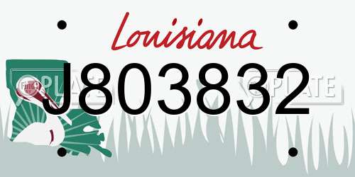 J803832 Louisiana License Plate