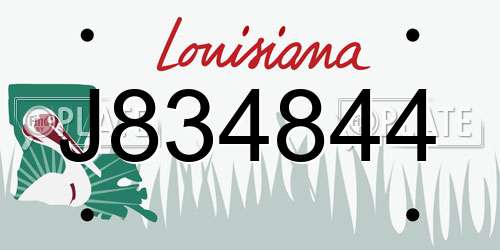 J834844 Louisiana License Plate