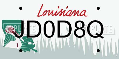 JD0D8Q Louisiana License Plate