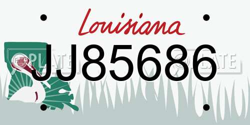 JJ85686 Louisiana License Plate