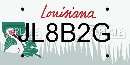 JL8B2G Louisiana License Plate