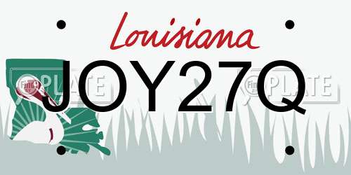 JOY27Q Louisiana License Plate