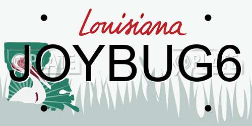 JOYBUG6 Louisiana License Plate