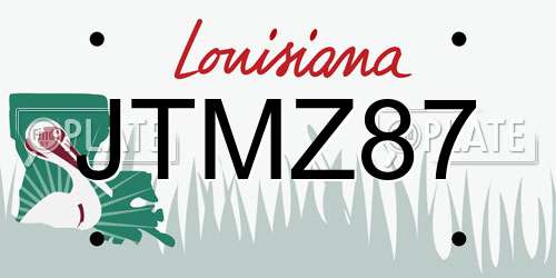 JTMZ87 Louisiana License Plate