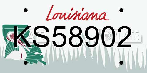 KS58902 Louisiana License Plate