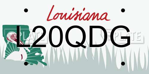 L20QDG Louisiana License Plate