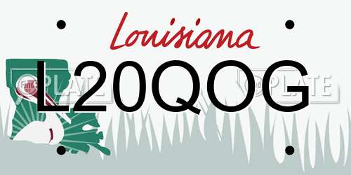 L20QOG Louisiana License Plate