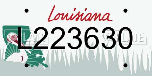 L223630 Louisiana License Plate
