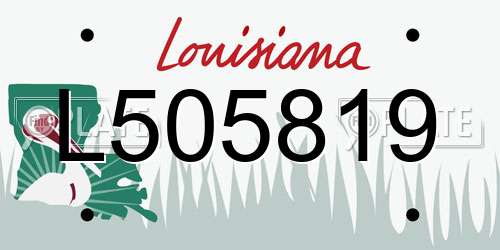 L505819 Louisiana License Plate