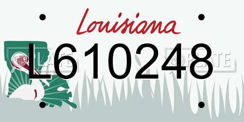 L610248 Louisiana License Plate