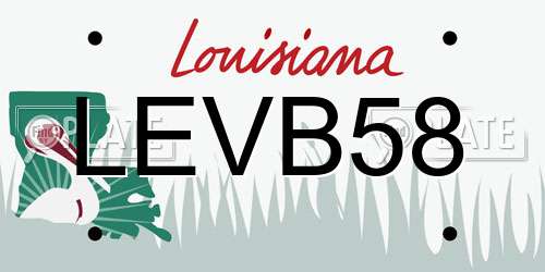 LEVB58 Louisiana License Plate