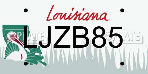 LJZB85 Louisiana License Plate