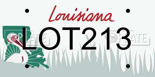 LOT213 Louisiana License Plate