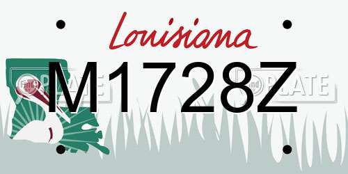 M1728Z Louisiana License Plate
