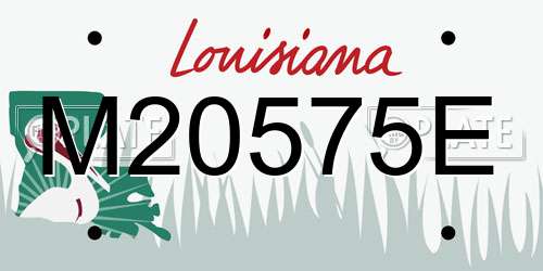 M20575E Louisiana License Plate