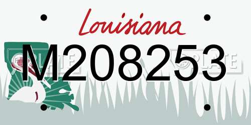 M208253 Louisiana License Plate