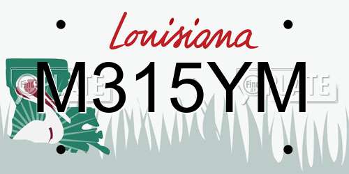 M315YM Louisiana License Plate