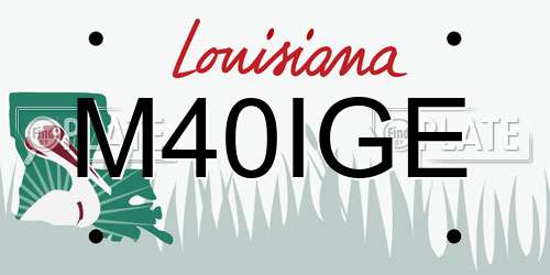 M40IGE Louisiana License Plate