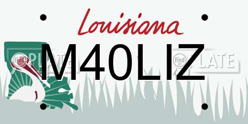M40LIZ Louisiana License Plate