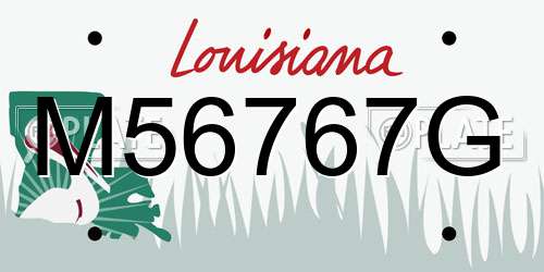 M56767G Louisiana License Plate