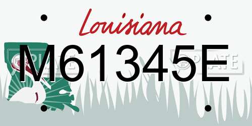 M61345E Louisiana License Plate