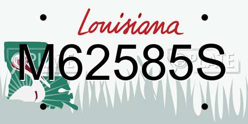 M62585S Louisiana License Plate