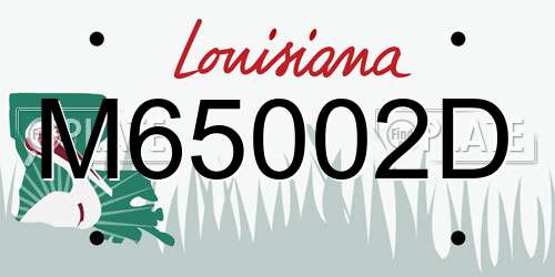 M65002D Louisiana License Plate