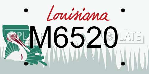 M6520 Louisiana License Plate