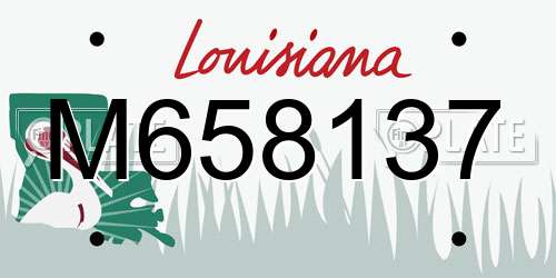 M658137 Louisiana License Plate