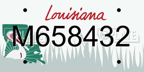 M658432 Louisiana License Plate