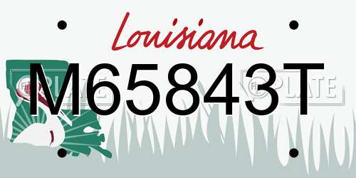 M65843T Louisiana License Plate