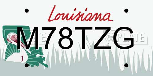 M78TZG Louisiana License Plate