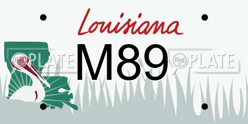 M89 Louisiana License Plate