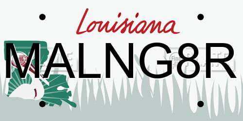 MALNG8R Louisiana License Plate
