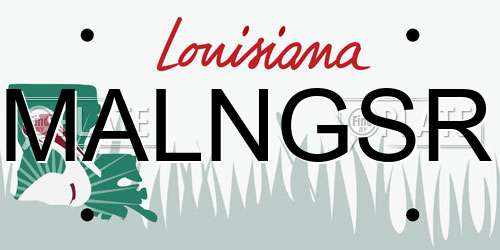 MALNGSR Louisiana License Plate