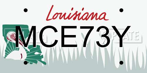 MCE73Y Louisiana License Plate