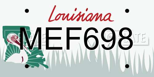 MEF698 Louisiana License Plate