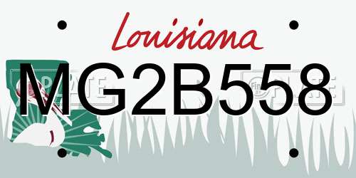 MG2B558 Louisiana License Plate