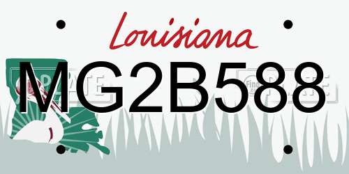 MG2B588 Louisiana License Plate