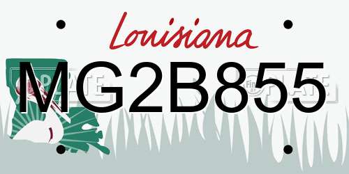 MG2B855 Louisiana License Plate