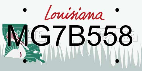 MG7B558 Louisiana License Plate