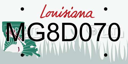 MG8D070 Louisiana License Plate