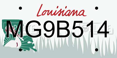MG9B514 Louisiana License Plate
