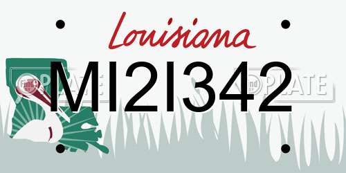 MI2I342 Louisiana License Plate