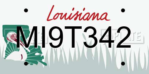 MI9T342 Louisiana License Plate