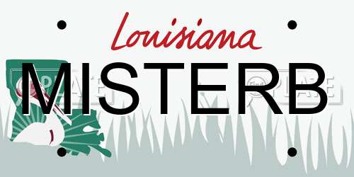 MISTERB Louisiana License Plate