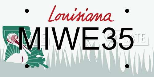 MIWE35 Louisiana License Plate