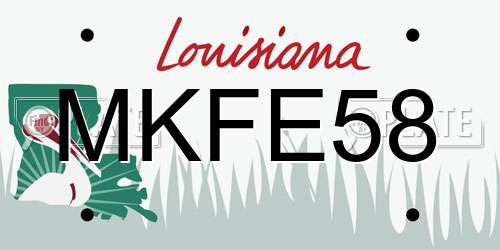 MKFE58 Louisiana License Plate