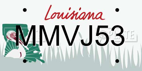 MMVJ53 Louisiana License Plate